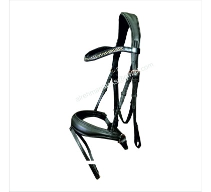 Leather Bridle 